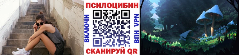 Галлюциногенные грибы Magic Shrooms  сколько стоит  Новотроицк 